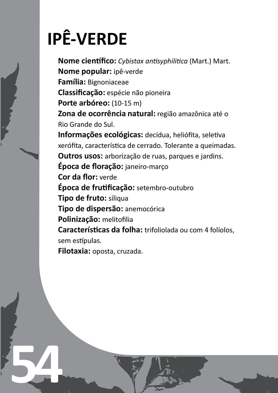 do Sul. Informações ecológicas: decídua, heliófita, seletiva xerófita, característica de cerrado. Tolerante a queimadas.