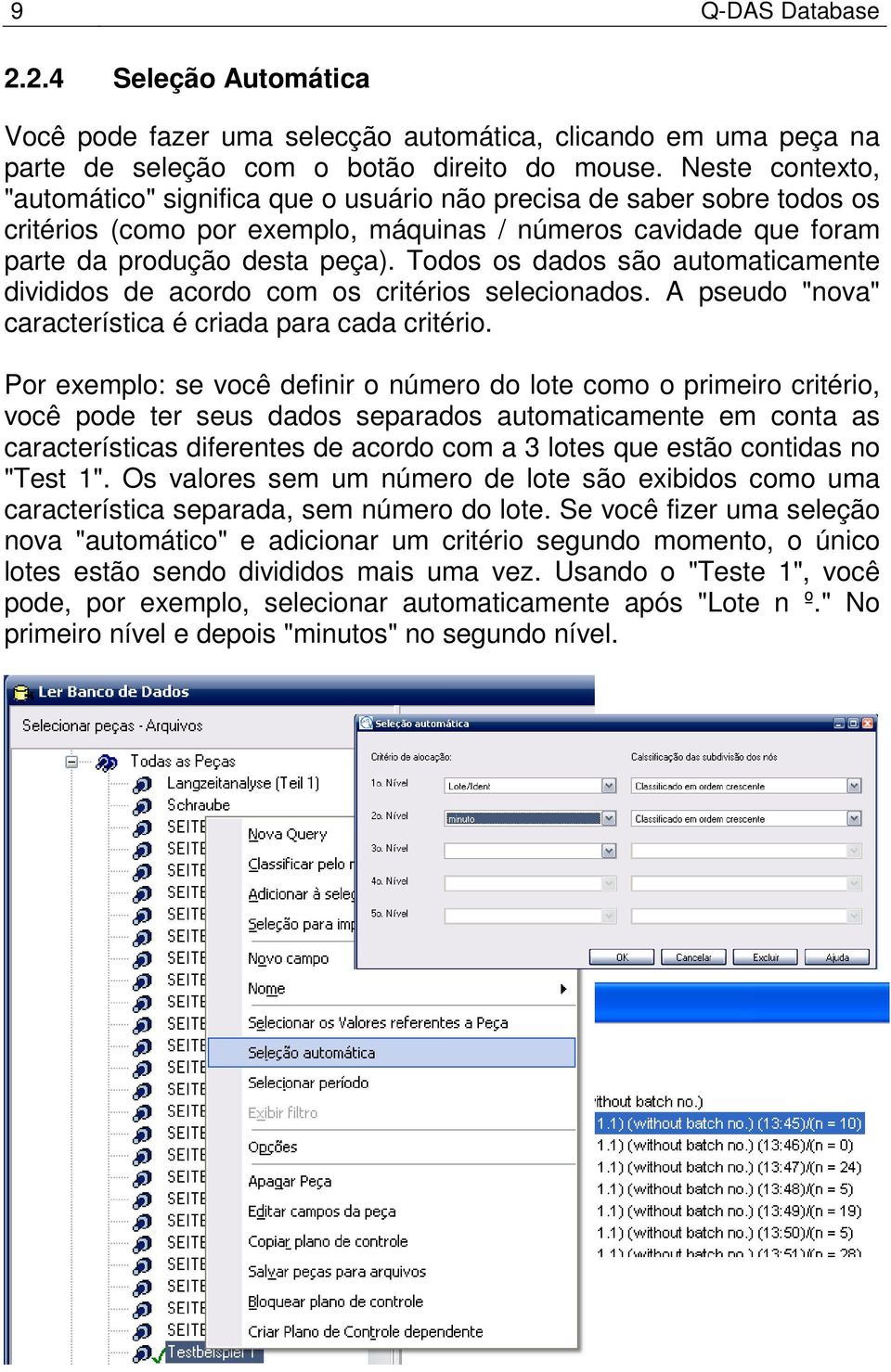 Todos os dados são automaticamente divididos de acordo com os critérios selecionados. A pseudo "nova" característica é criada para cada critério.