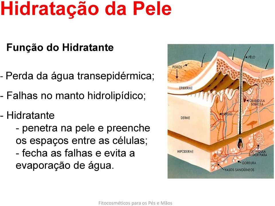 Hidratante - penetra na pele e preenche os espaços