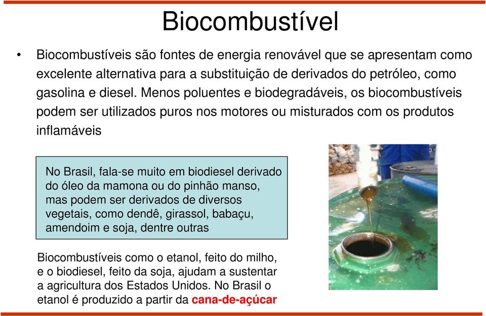 Menos poluentes e biodegradáveis, os biocombustíveis podem ser utilizados puros nos motores ou misturados com os produtos inflamáveis No Brasil, fala-se muito em biodiesel