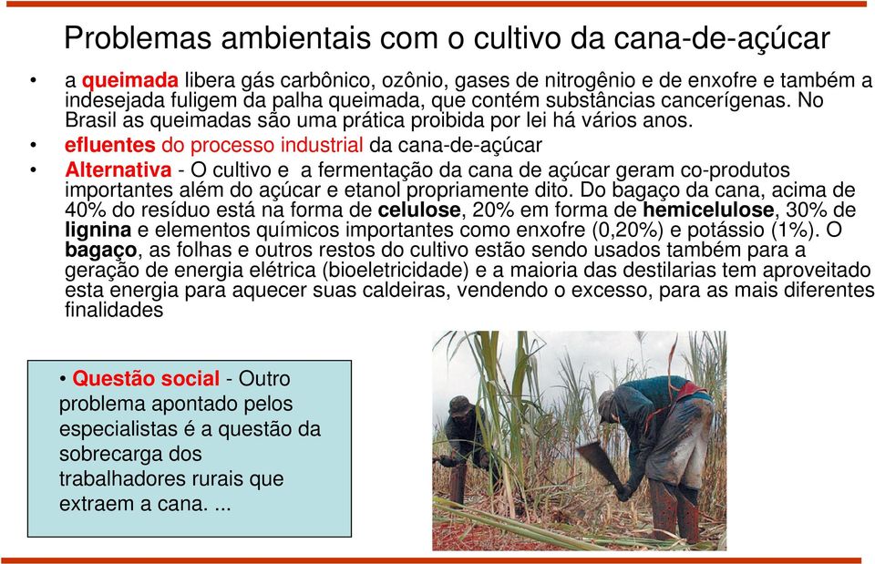 efluentes do processo industrial da cana-de-açúcar Alternativa - O cultivo e a fermentação da cana de açúcar geram co-produtos importantes além do açúcar e etanol propriamente dito.