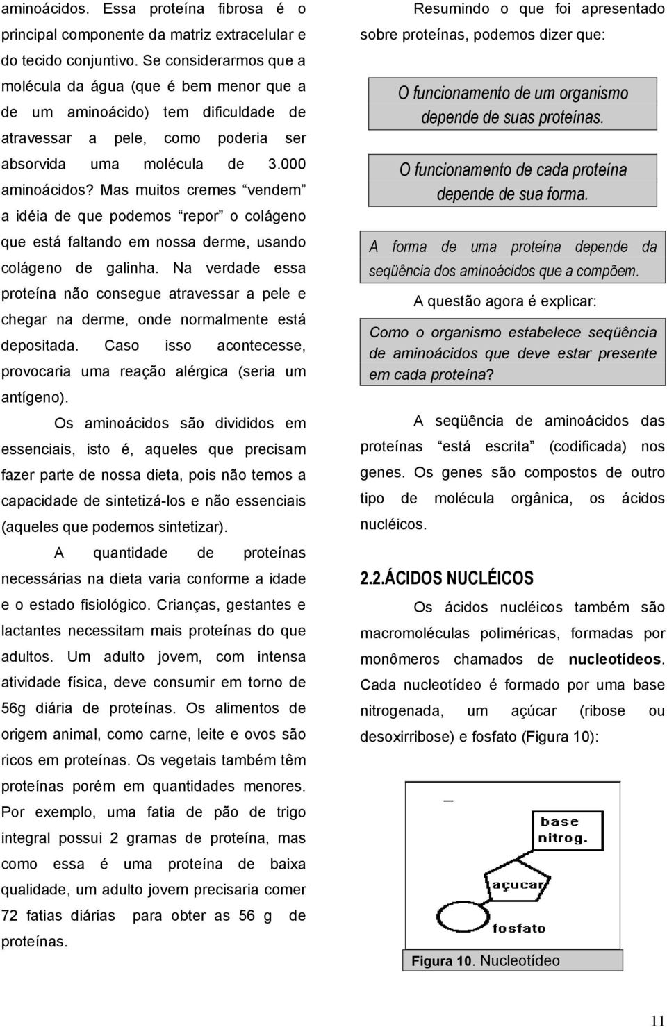 Mas muitos cremes vendem a idéia de que podemos repor o colágeno que está faltando em nossa derme, usando colágeno de galinha.