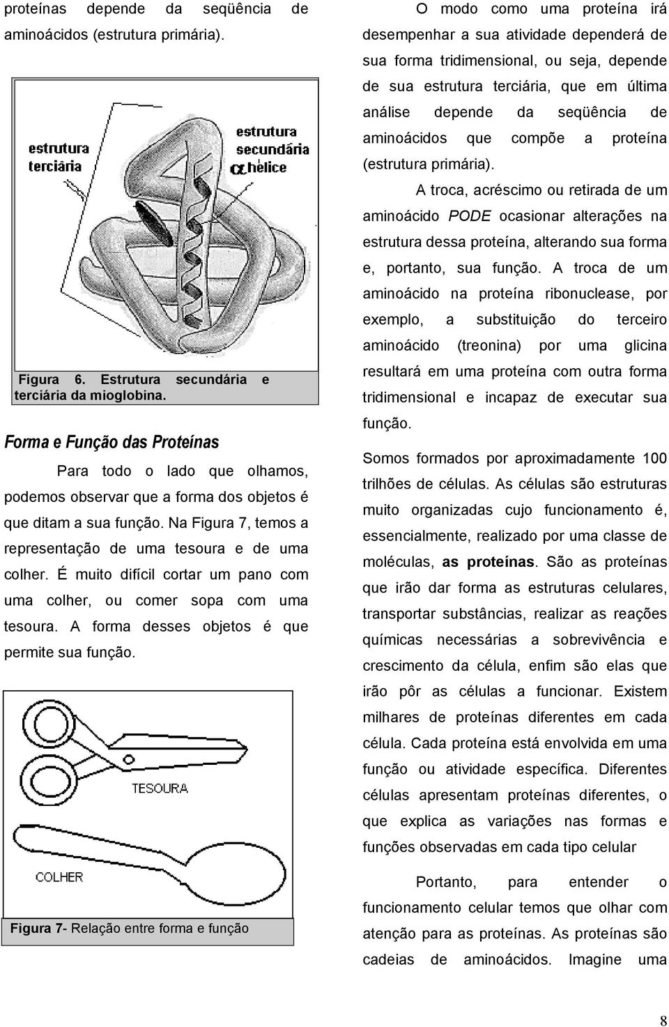 É muito difícil cortar um pano com uma colher, ou comer sopa com uma tesoura. A forma desses objetos é que permite sua função.