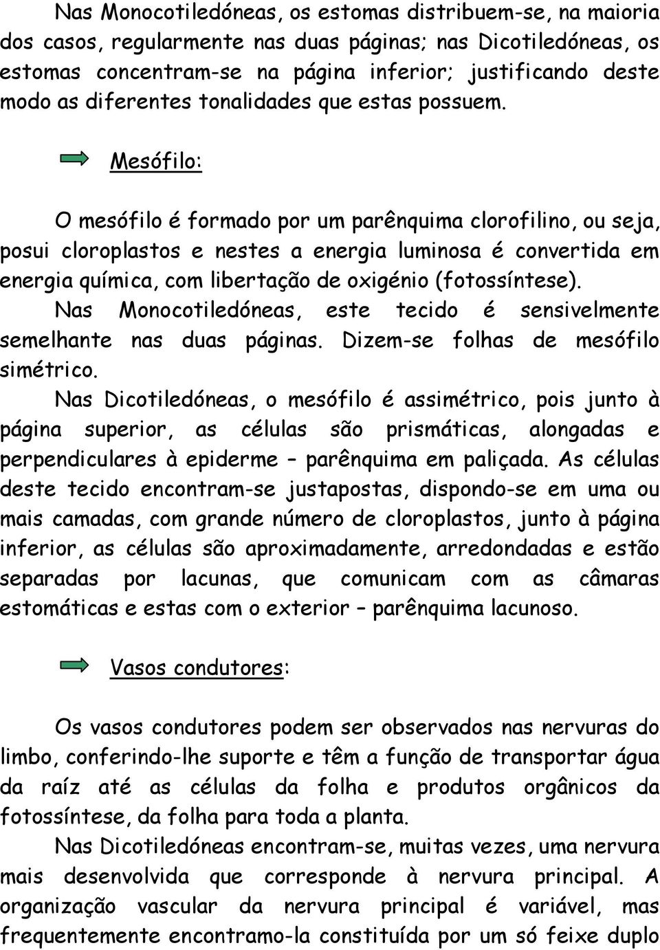 Mesófilo: O mesófilo é formado por um parênquima clorofilino, ou seja, posui cloroplastos e nestes a energia luminosa é convertida em energia química, com libertação de oxigénio (fotossíntese).