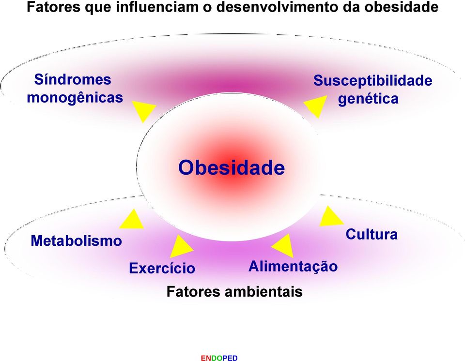 genética Obesidade Metabolismo Exercício Alimentação