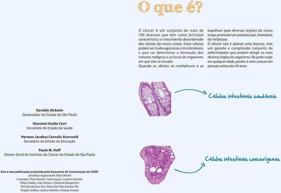 Quando as células se multiplicam e se espalham para diversas regiões do nosso corpo, provocam um processo que chamamos de metástase.