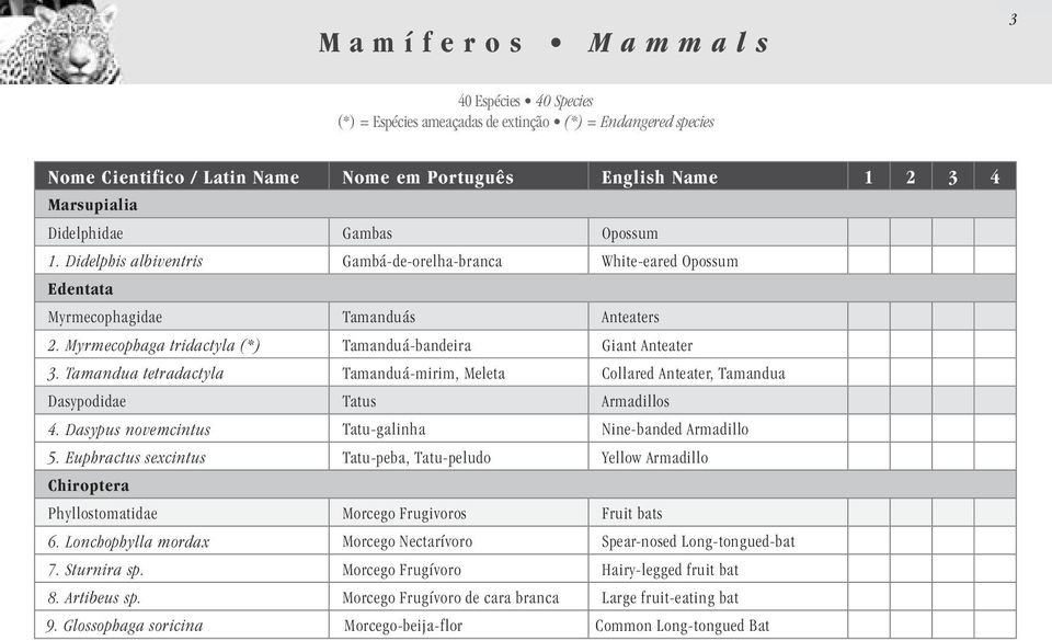 Myrmecophaga tridactyla (*) Tamanduá-bandeira Giant Anteater 3. Tamandua tetradactyla Tamanduá-mirim, Meleta Collared Anteater, Tamandua Dasypodidae Tatus Armadillos 4.