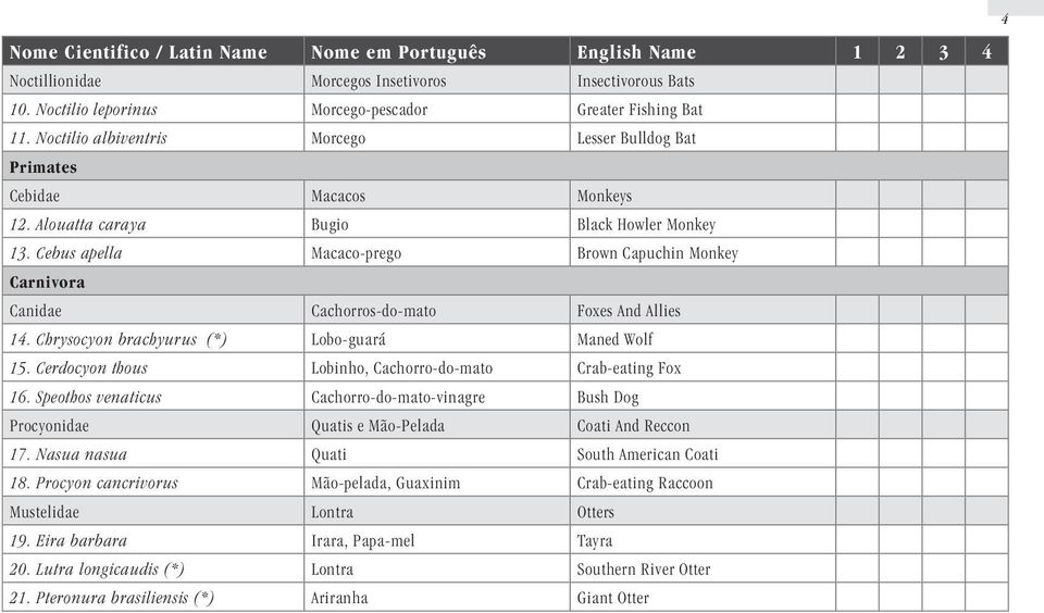 Cebus apella Macaco-prego Brown Capuchin Monkey Carnivora Canidae Cachorros-do-mato Foxes And Allies 14. Chrysocyon brachyurus (*) Lobo-guará Maned Wolf 15.