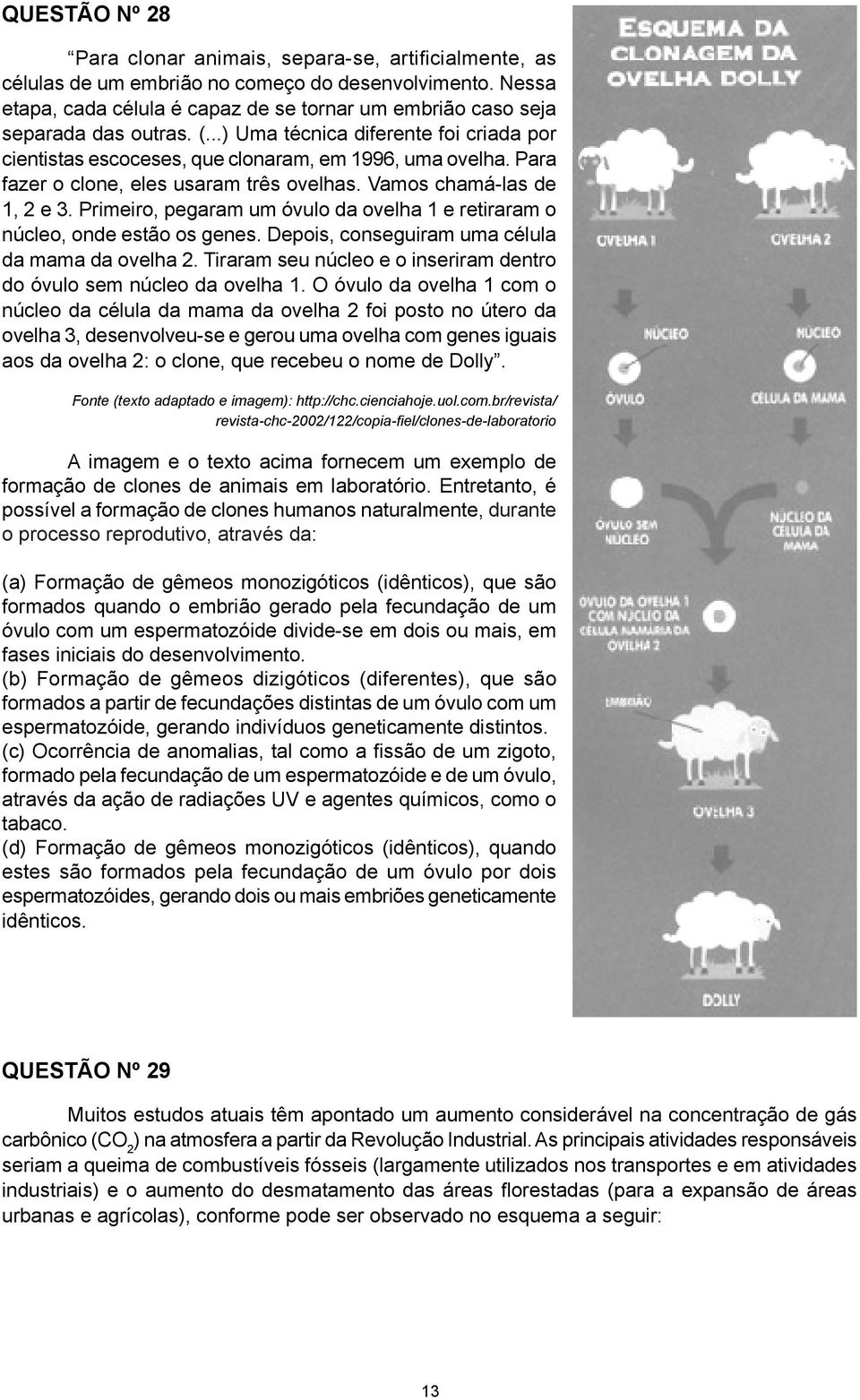 Para fazer o clone, eles usaram três ovelhas. Vamos chamá-las de 1, 2 e 3. Primeiro, pegaram um óvulo da ovelha 1 e retiraram o núcleo, onde estão os genes.