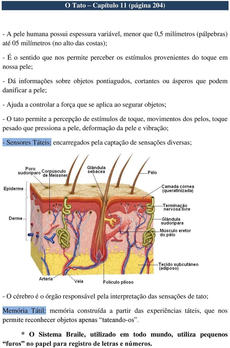 objetos; - O tato permite a percepção de estímulos de toque, movimentos dos pelos, toque pesado que pressiona a pele, deformação da pele e vibração; - Sensores Táteis: encarregados pela captação de