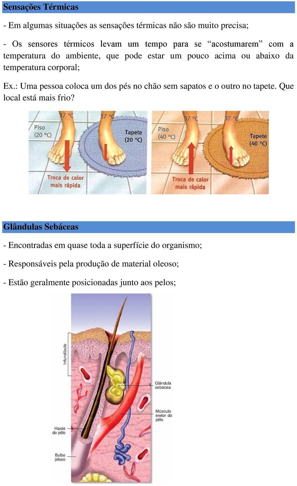 : Uma pessoa coloca um dos pés no chão sem sapatos e o outro no tapete. Que local está mais frio?