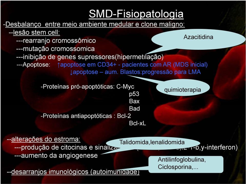 Blastos:progressão para LMA -Proteínas pró-apoptóticas: C-Myc p53 Bax Bad -Proteínas antiapoptóticas : Bcl-2 Bcl-xL quimioterapia --alterações do estroma: