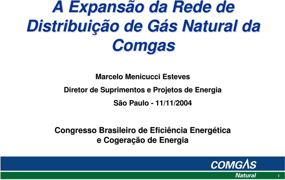 e Projetos de Energia São Paulo - 11/11/2004 Congresso