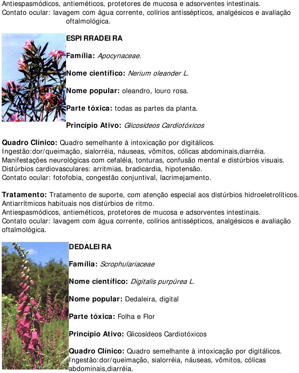 Princípio Ativo: Glicosídeos Cardiotóxicos Quadro Clínico: Quadro semelhante à intoxicação por digitálicos. Ingestão:dor/queimação, sialorréia, náuseas, vômitos, cólicas abdominais,diarréia.