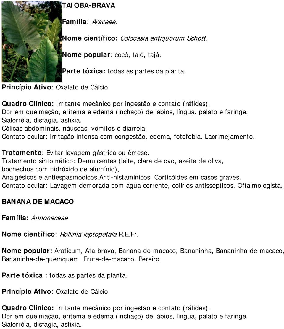 Cólicas abdominais, náuseas, vômitos e diarréia. Contato ocular: irritação intensa com congestão, edema, fotofobia. Lacrimejamento. Tratamento: Evitar lavagem gástrica ou êmese.