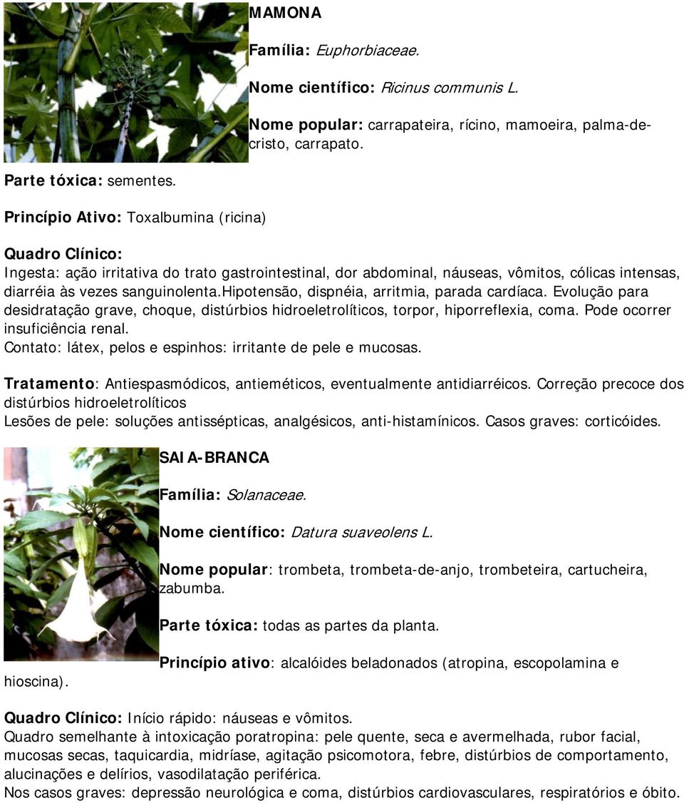 hipotensão, dispnéia, arritmia, parada cardíaca. Evolução para desidratação grave, choque, distúrbios hidroeletrolíticos, torpor, hiporreflexia, coma. Pode ocorrer insuficiência renal.