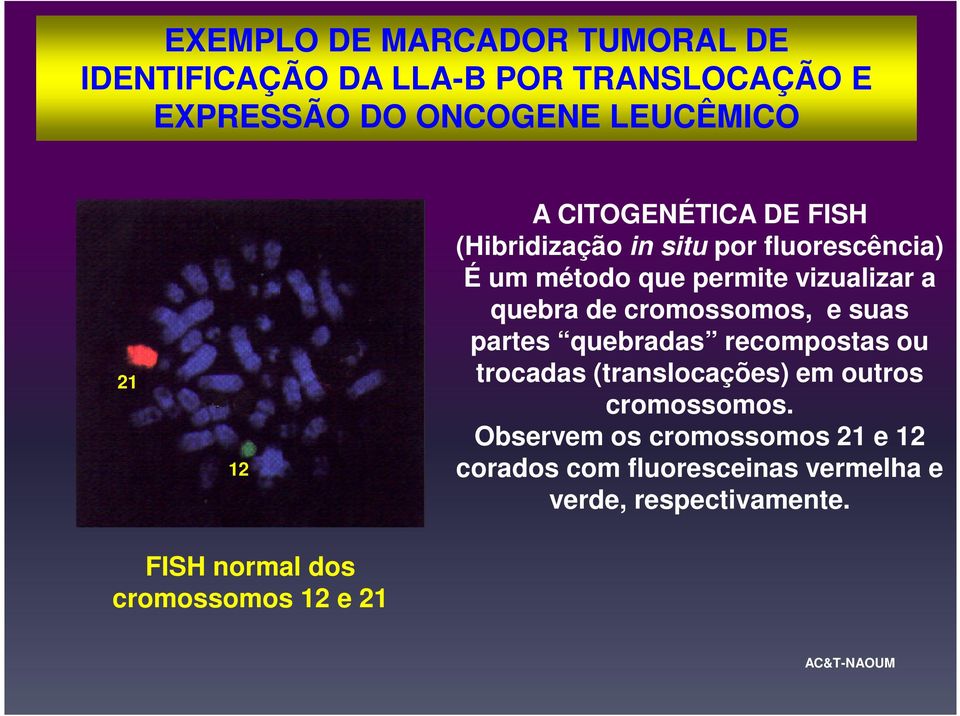 cromossomos, e suas partes quebradas recompostas ou trocadas (translocações) em outros cromossomos.