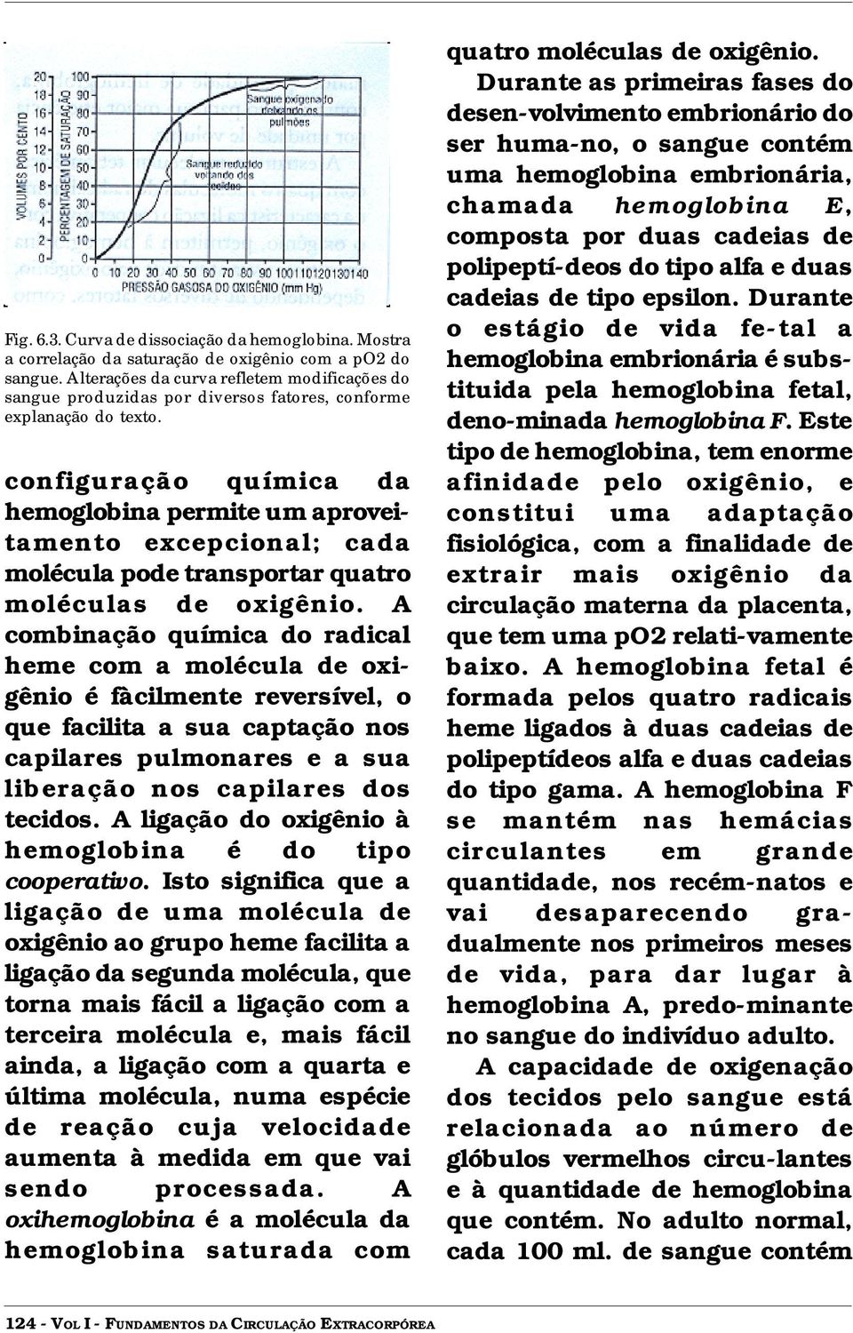 configuração química da hemoglobina permite um aproveitamento excepcional; cada molécula pode transportar quatro moléculas de oxigênio.