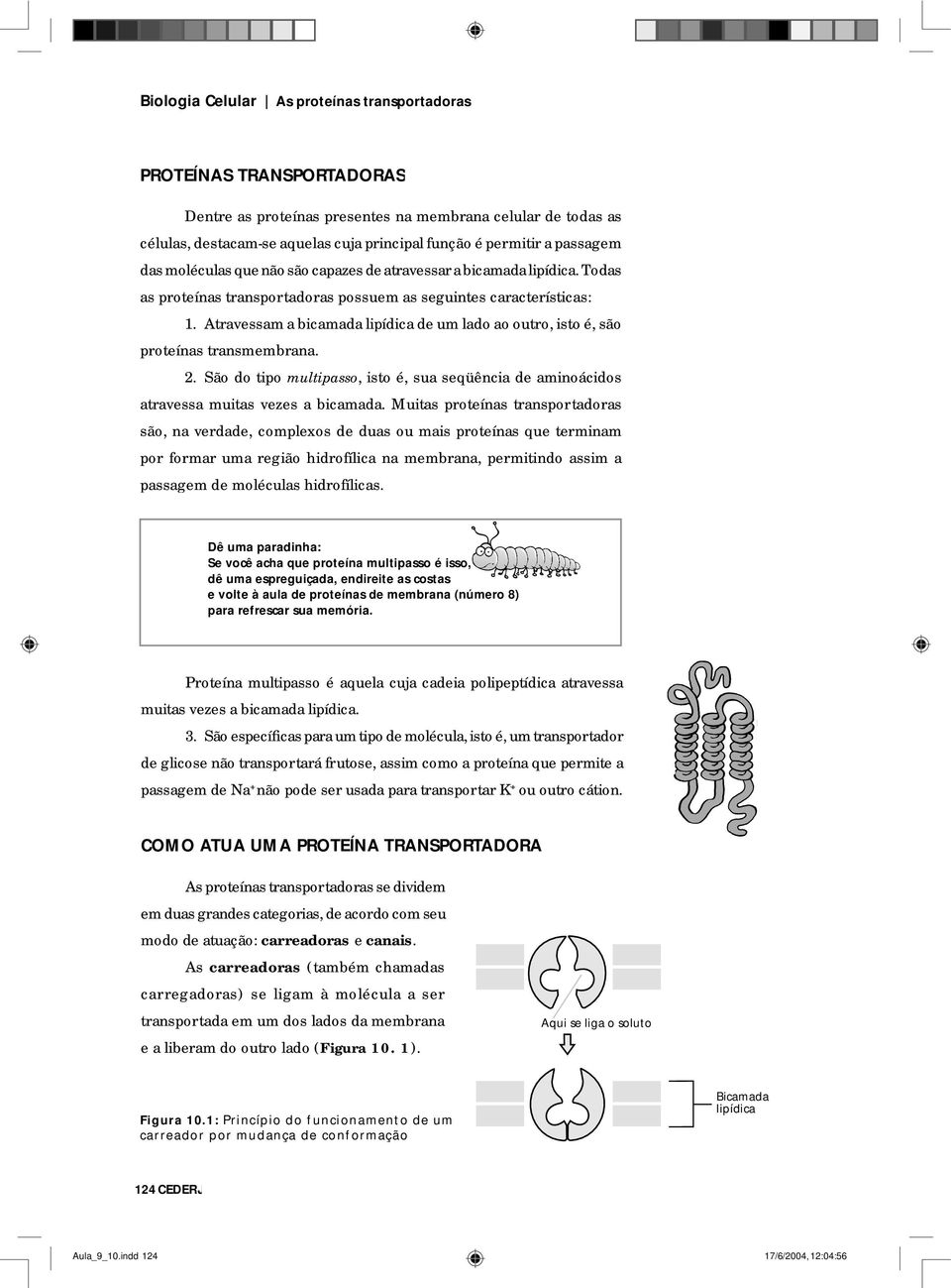 Atravessam a bicamada lipídica de um lado ao outro, isto é, são proteínas transmembrana. 2. São do tipo multipasso, isto é, sua seqüência de aminoácidos atravessa muitas vezes a bicamada.