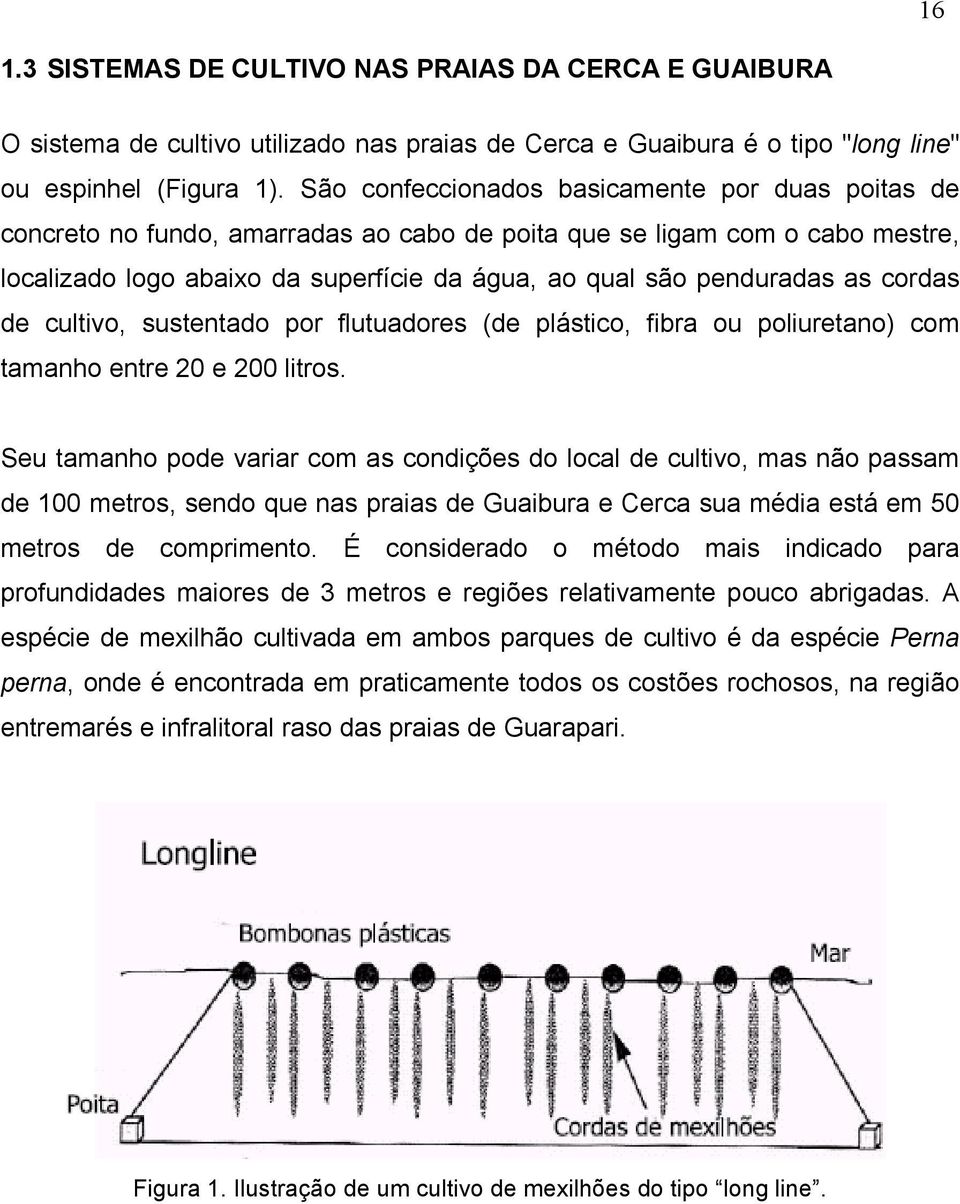 cordas de cultivo, sustentado por flutuadores (de plástico, fibra ou poliuretano) com tamanho entre 20 e 200 litros.