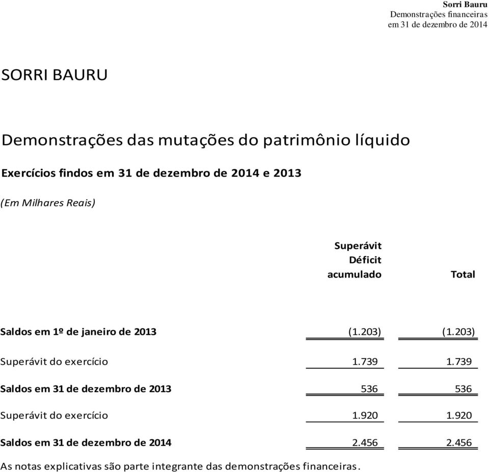 203) Superávit do exercício 1.739 1.