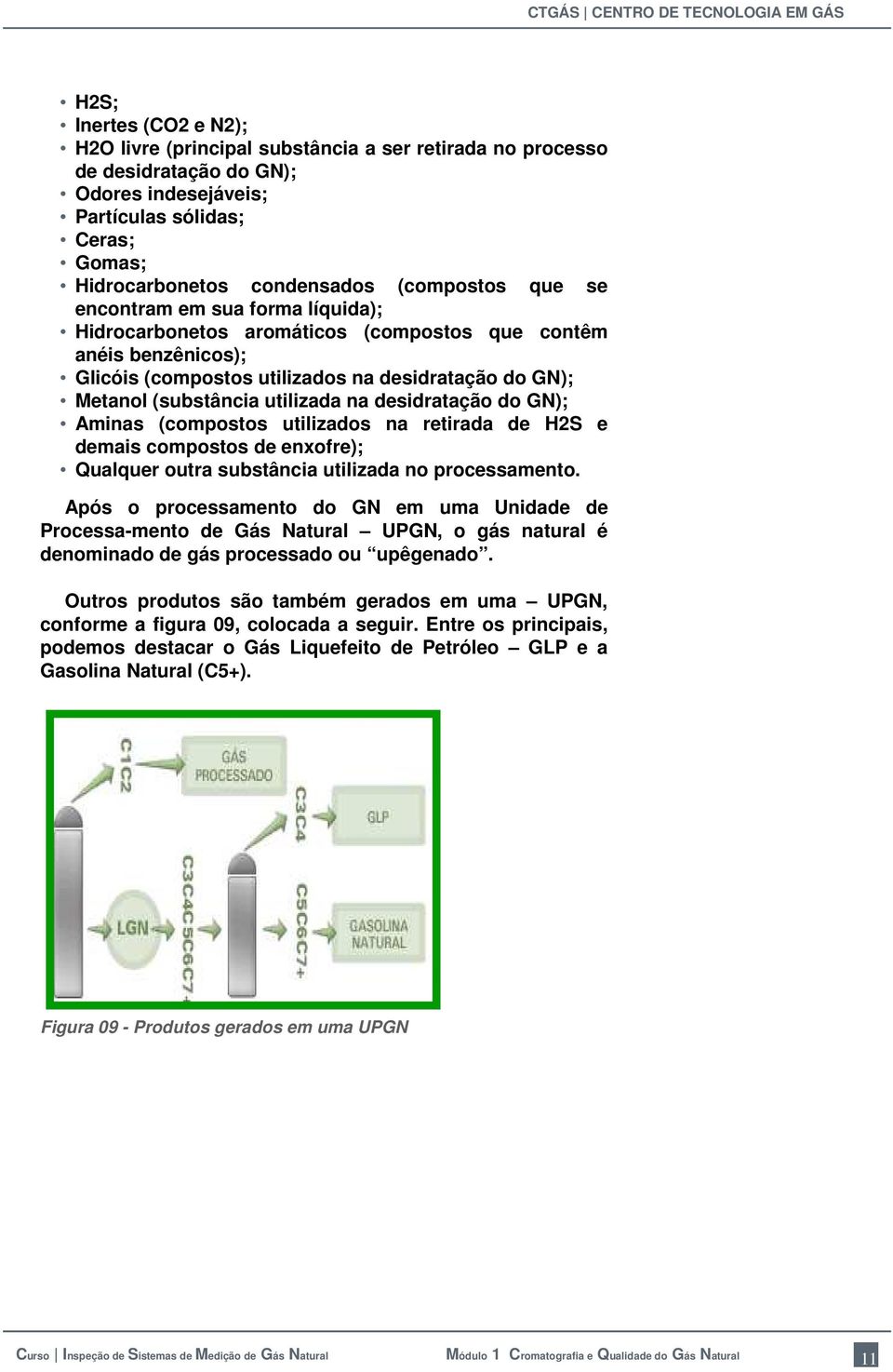 utilizada na desidratação do GN); Aminas (compostos utilizados na retirada de H2S e demais compostos de enxofre); Qualquer outra substância utilizada no processamento.