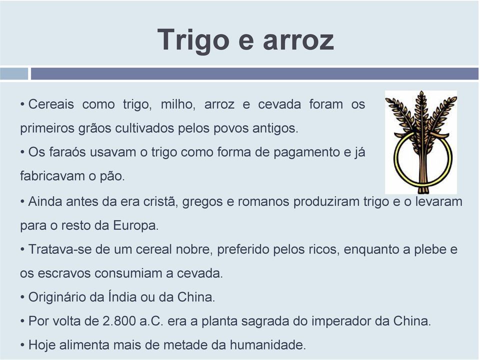 Ainda antes da era cristã, gregos e romanos produziram trigo e o levaram para o resto da Europa.