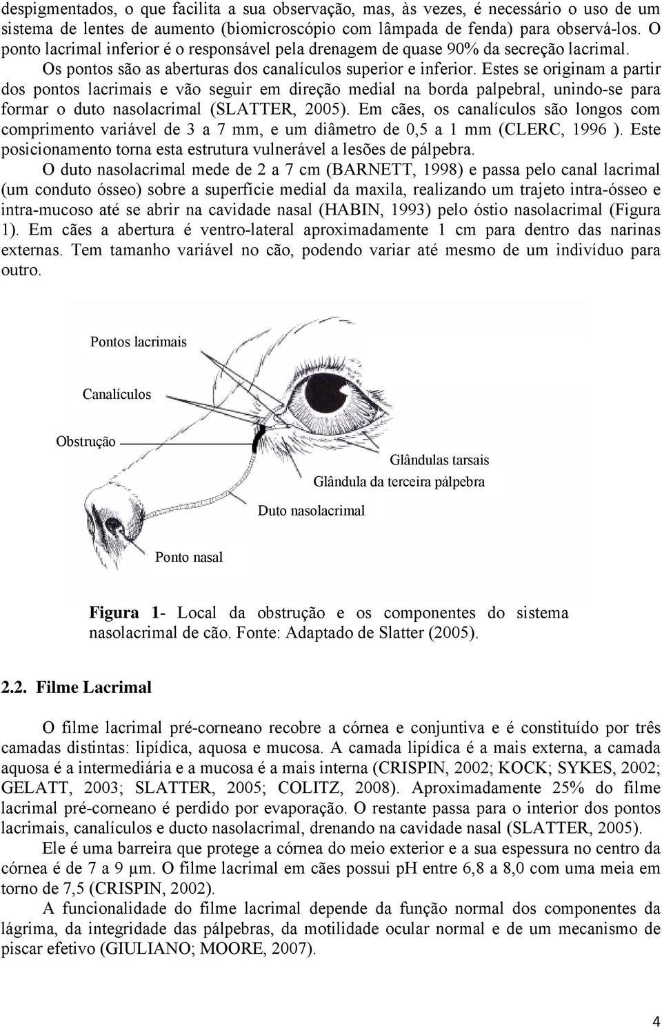 Estes se originam a partir dos pontos lacrimais e vão seguir em direção medial na borda palpebral, unindo-se para formar o duto nasolacrimal (SLATTER, 2005).