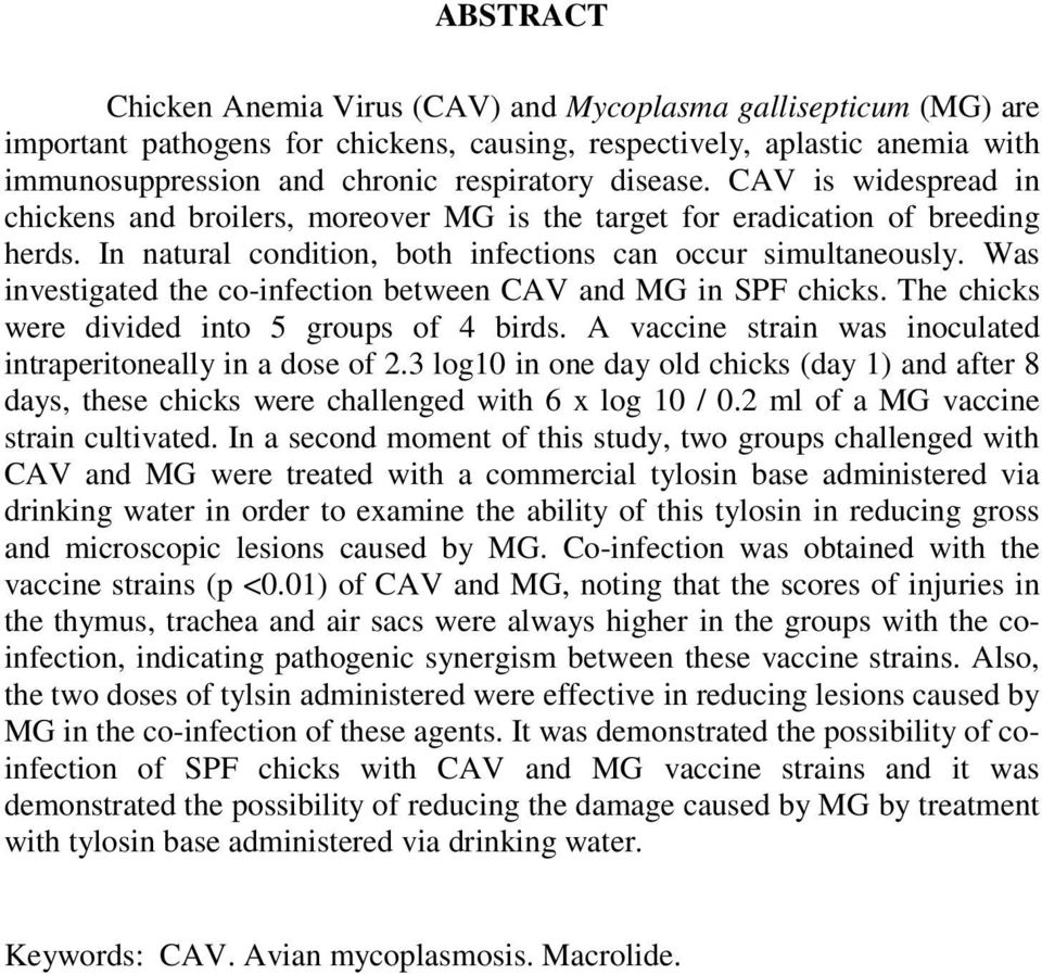 Was investigated the co-infection between CAV and MG in SPF chicks. The chicks were divided into 5 groups of 4 birds. A vaccine strain was inoculated intraperitoneally in a dose of 2.