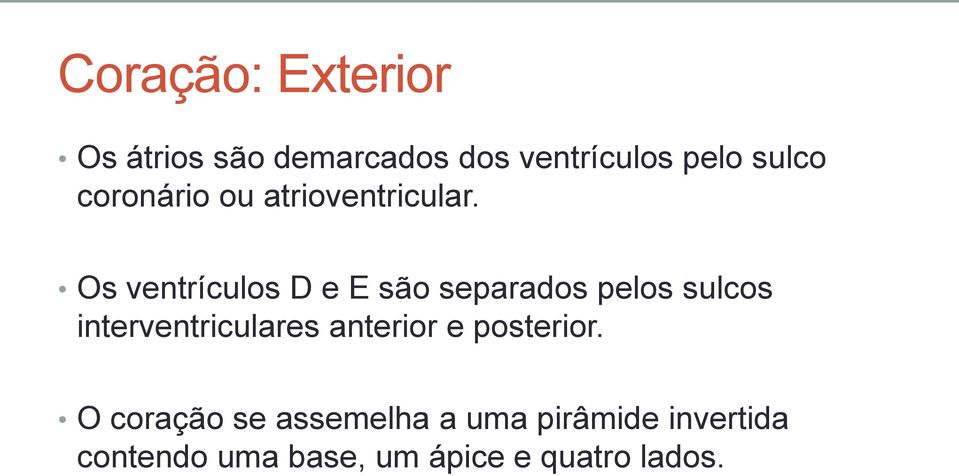 Os ventrículos D e E são separados pelos sulcos interventriculares