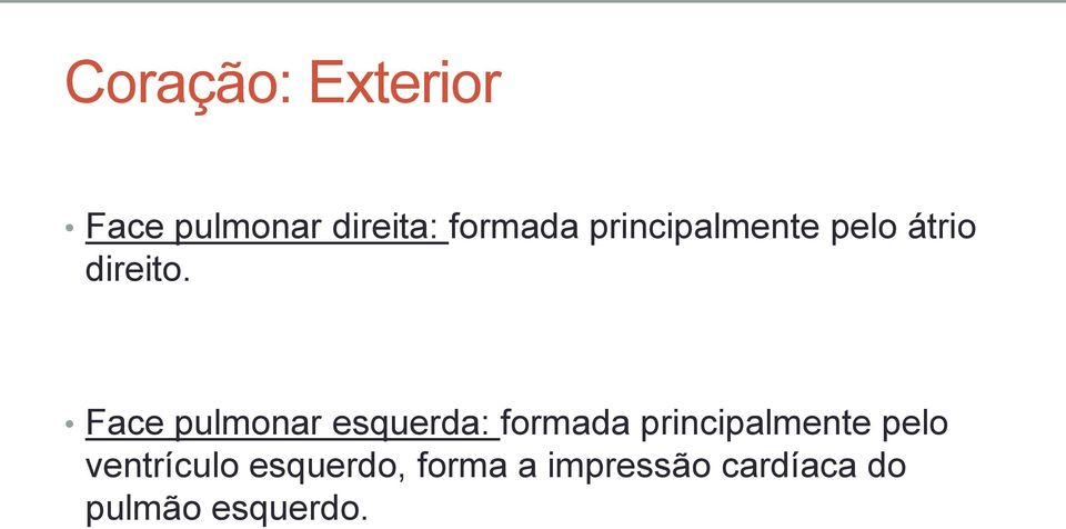 Face pulmonar esquerda: formada principalmente