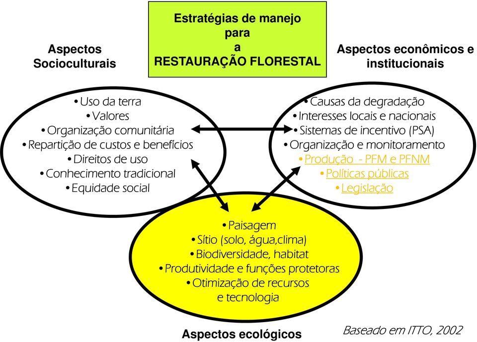 nacionais Sistemas de incentivo (PSA) Organização e monitoramento Produção - PFM e PFNM Políticas públicas Legislação Paisagem Sítio (solo,