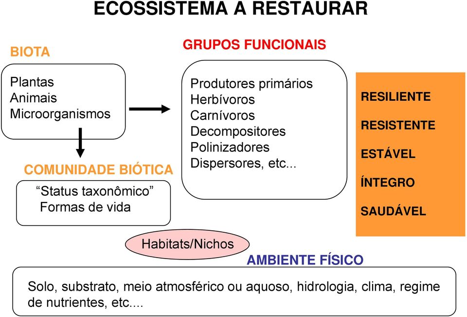 Polinizadores Dispersores, etc.