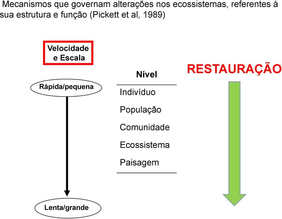 1989) Velocidade e Escala Rápida/pequena Nível Indivíduo