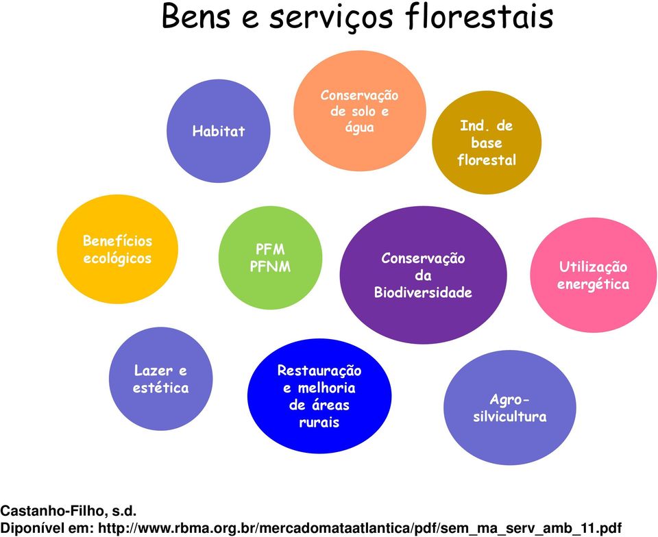 Utilização energética Lazer e estética Restauração e melhoria de áreas rurais