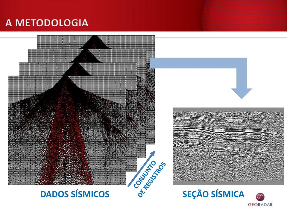 SEÇÃO