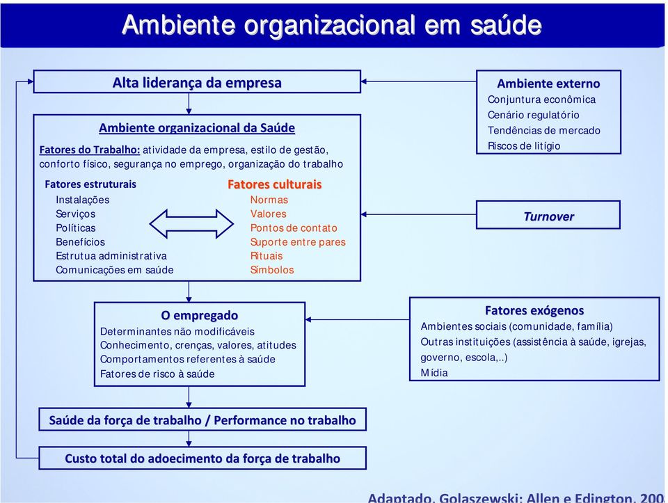 pares Rituais Símbolos Ambiente externo Conjuntura econômica Cenário regulatório Tendências de mercado Riscos de litígio Turnover O empregado Determinantes não modificáveis Conhecimento, crenças,