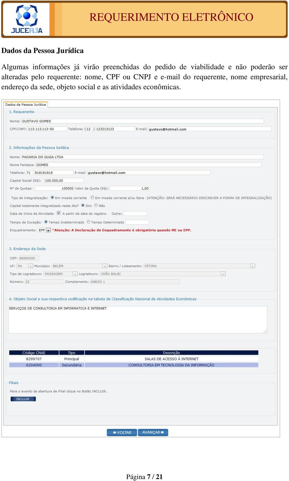 requerente: nome, CPF ou CNPJ e e-mail do requerente, nome