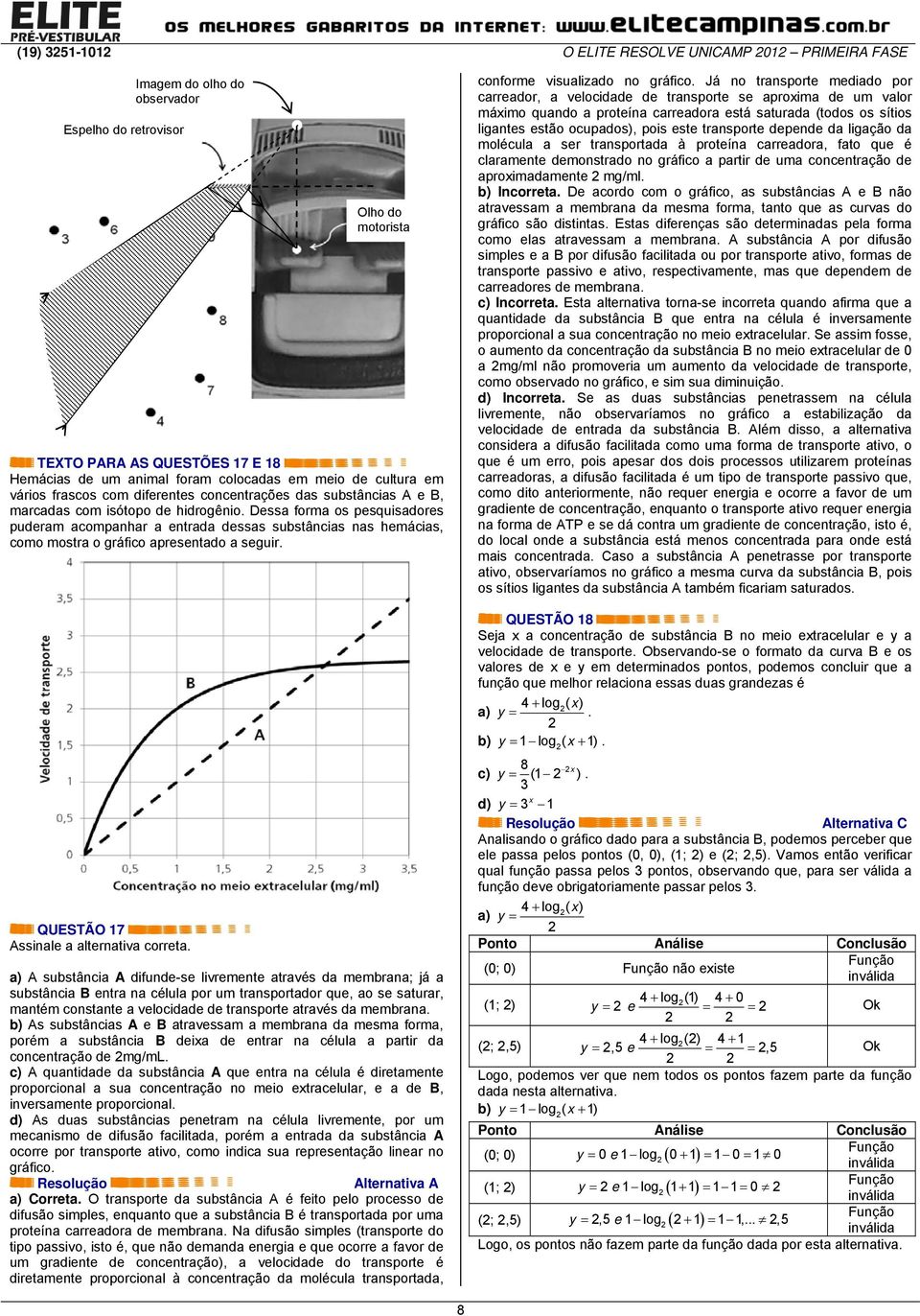 Dessa forma os pesquisadores puderam acompanhar a entrada dessas substâncias nas hemácias, como mostra o gráfico apresentado a seguir. conforme visualizado no gráfico.