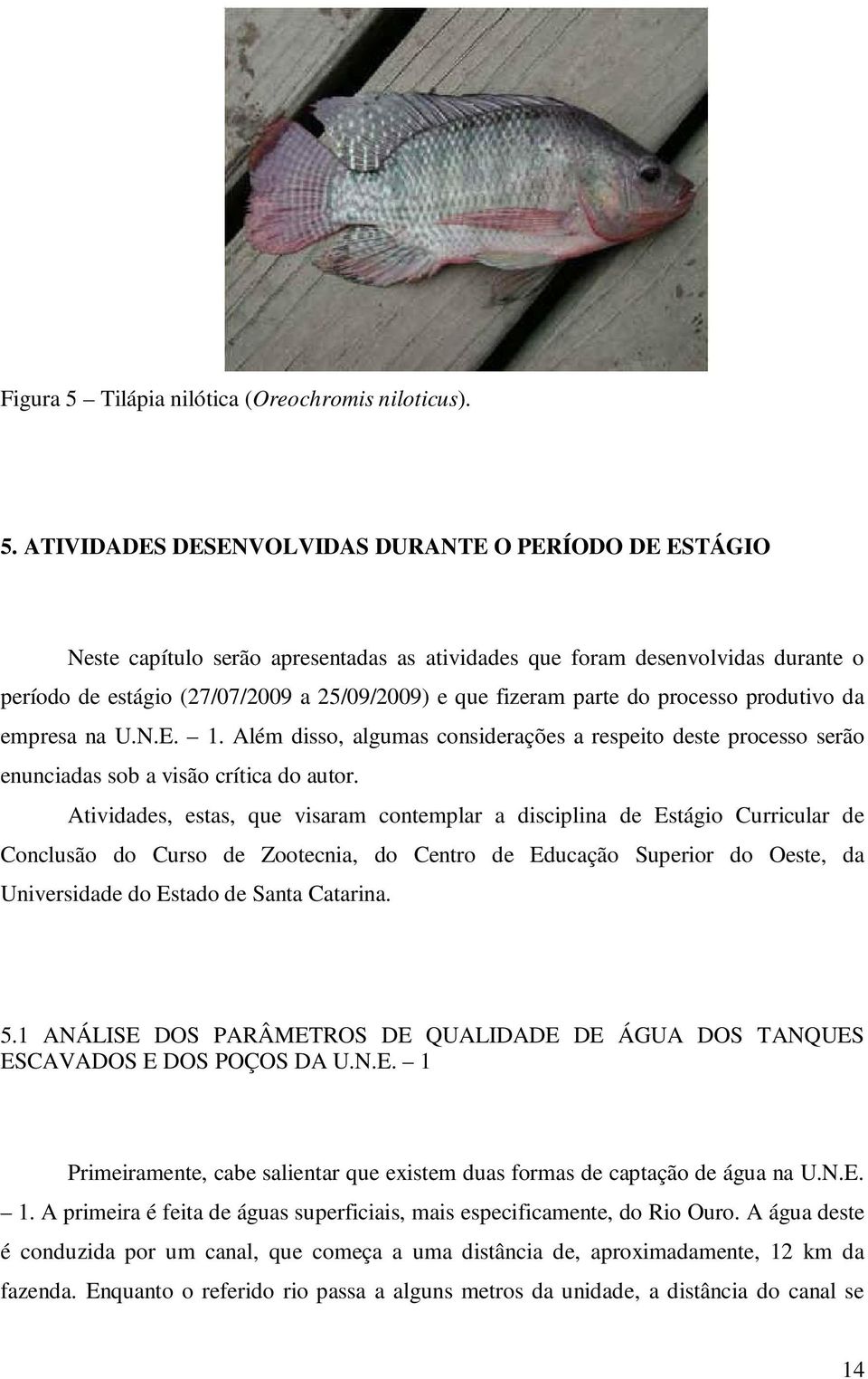 ATIVIDADES DESENVOLVIDAS DURANTE O PERÍODO DE ESTÁGIO Neste capítulo serão apresentadas as atividades que foram desenvolvidas durante o período de estágio (27/07/2009 a 25/09/2009) e que fizeram