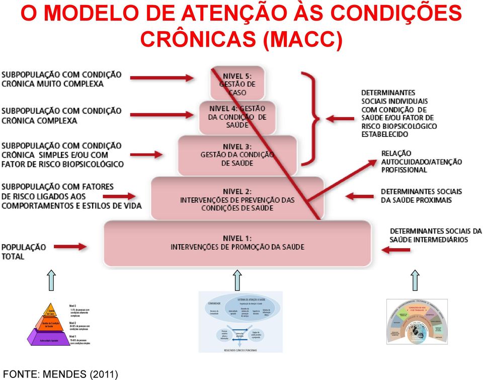 complexas Gestão da Condição de Saúde Autocuidado Apoiado Nível 2