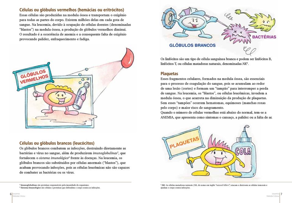 O resultado é a ocorrência de anemia e a consequente falta de oxigênio provocando palidez, enfraquecimento e fadiga.