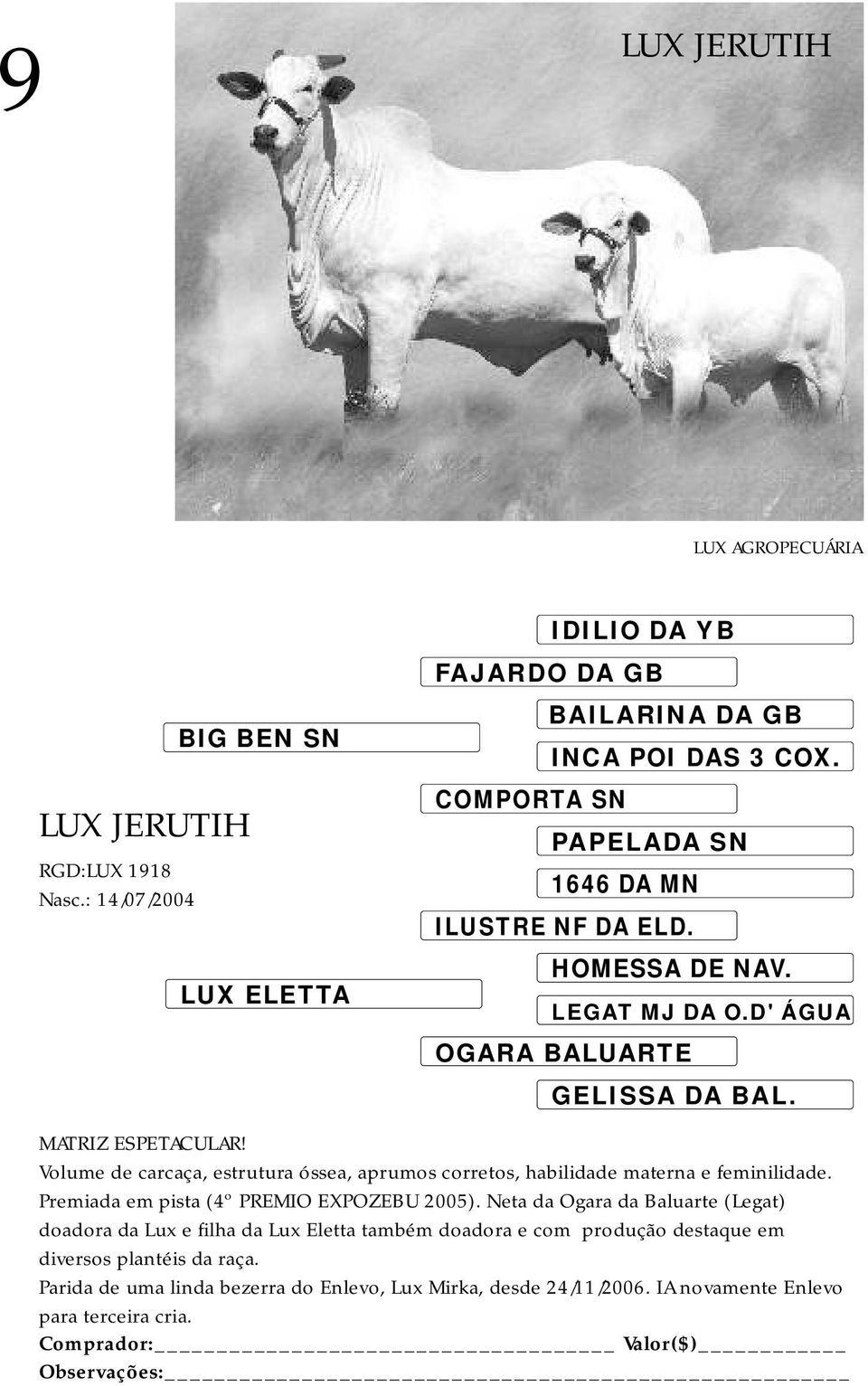 Volume de carcaça, estrutura óssea, aprumos corretos, habilidade materna e feminilidade. Premiada em pista (4º PREMIO EXPOZEBU 2005).