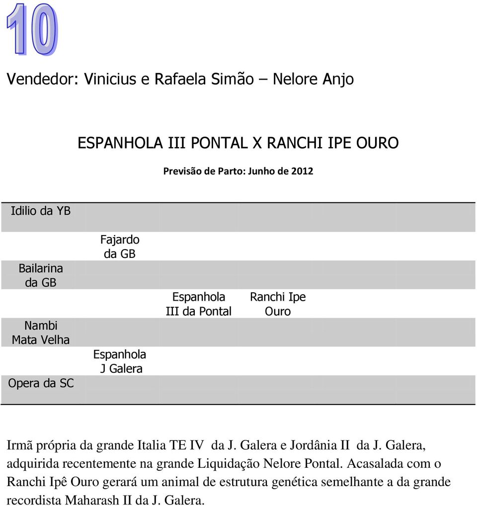 da grande Italia TE IV da J. Galera e Jordânia II da J. Galera, adquirida recentemente na grande Liquidação Nelore Pontal.