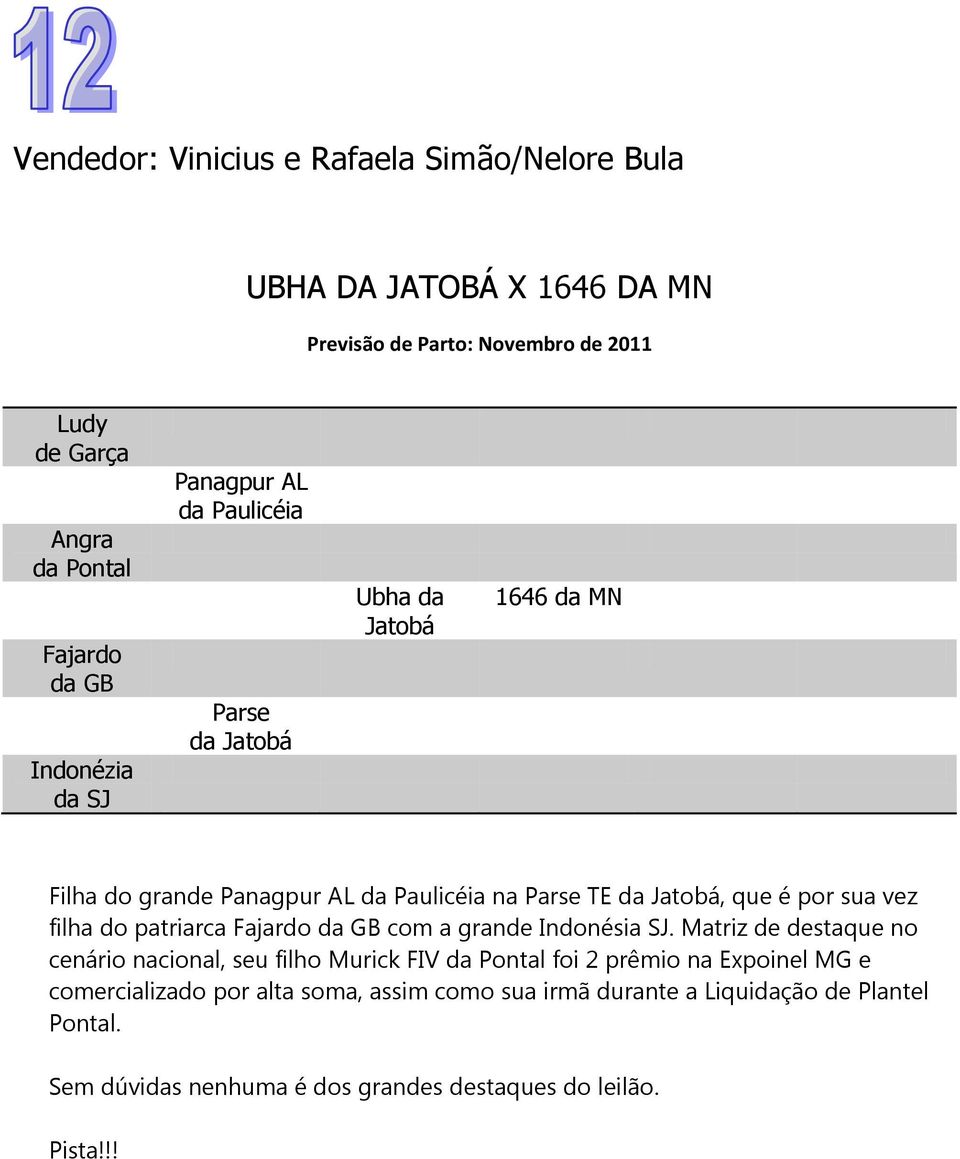 por sua vez filha do patriarca Fajardo com a grande Indonésia SJ.