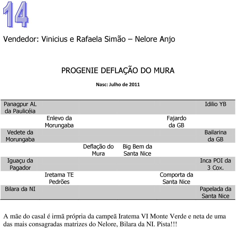 Mura Big Bem da Fajardo Comporta da Idilio YB Bailarina Inca POI da 3 Cox.