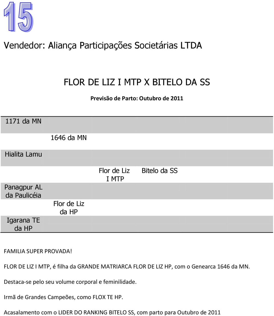 FLOR DE LIZ I MTP, é filha da GRANDE MATRIARCA FLOR DE LIZ HP, com o Genearca 1646 da MN.