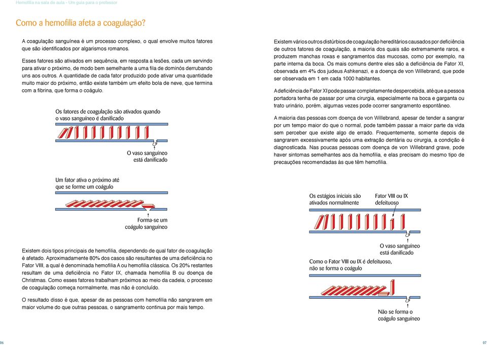 A quantidade de cada fator produzido pode ativar uma quantidade muito maior do próximo, então existe também um efeito bola de neve, que termina com a fibrina, que forma o coágulo.