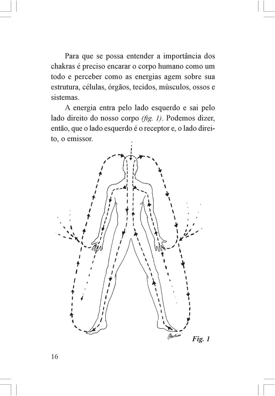 ossos e sistemas. A energia entra pelo lado esquerdo e sai pelo lado direito do nosso corpo (fig.