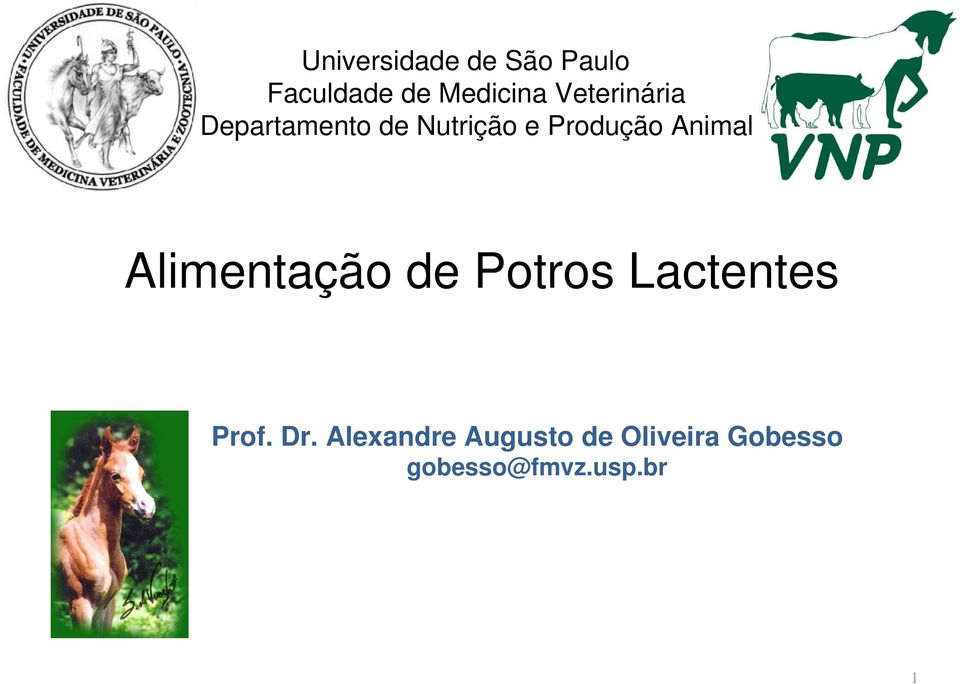 Animal Alimentação de Potros Lactentes Prof. Dr.